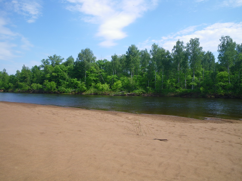IMGP7159_resize.JPG