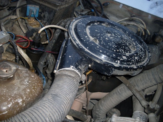 SDC12853.JPG