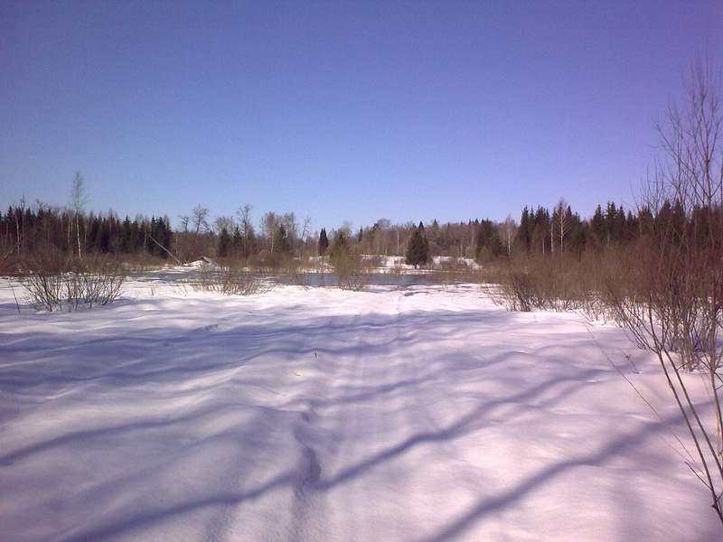 040420090601.JPG